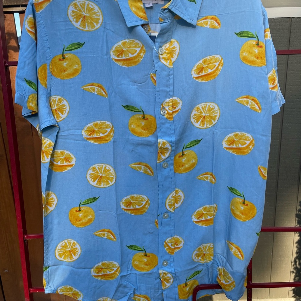 Light blue blouse with orange slices.